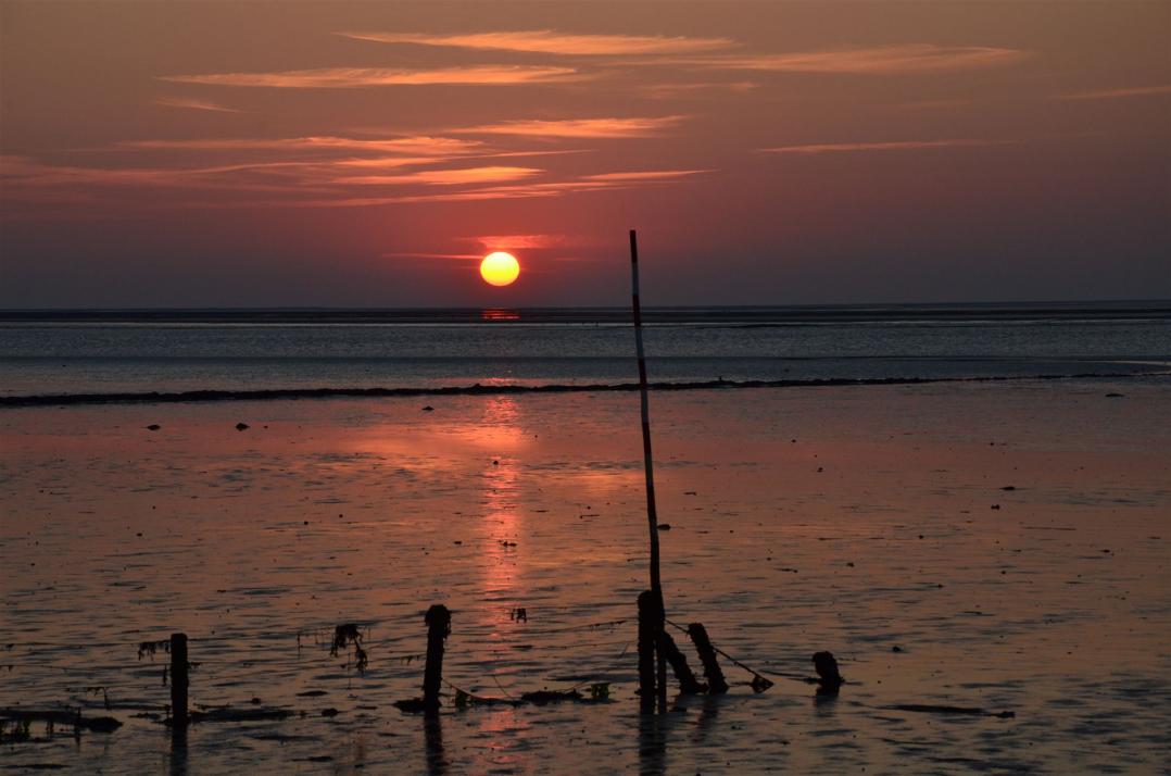 Sonnenuntergang (Pellworm)